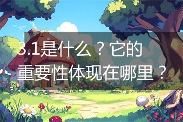 3.1是什么？它的重要性体现在哪里？