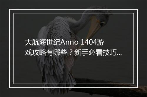 大航海世纪Anno 1404游戏攻略有哪些？新手必看技巧！