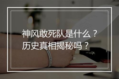 神风敢死队是什么？历史真相揭秘吗？