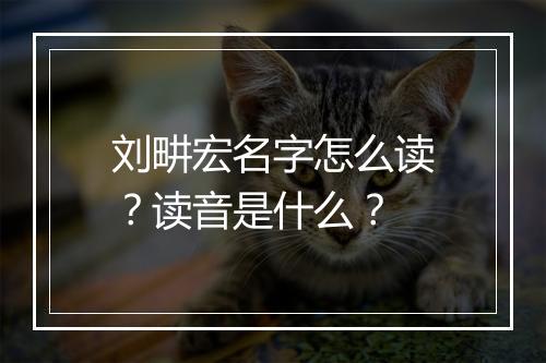 刘畊宏名字怎么读？读音是什么？