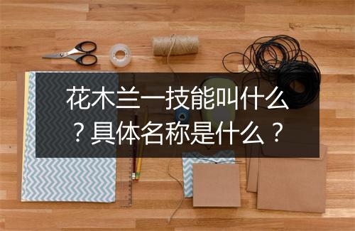 花木兰一技能叫什么？具体名称是什么？