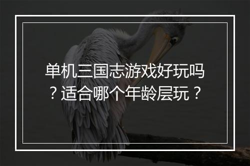 单机三国志游戏好玩吗？适合哪个年龄层玩？