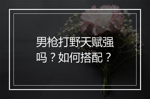 男枪打野天赋强吗？如何搭配？