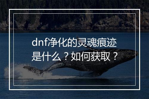 dnf净化的灵魂痕迹是什么？如何获取？