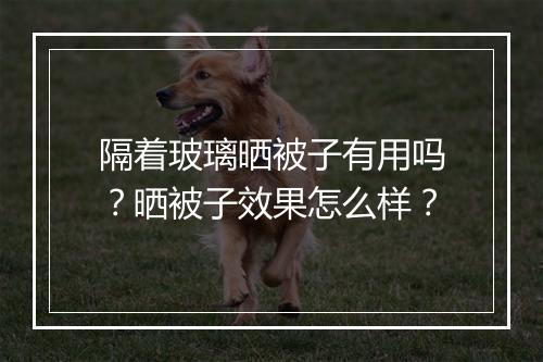 隔着玻璃晒被子有用吗？晒被子效果怎么样？