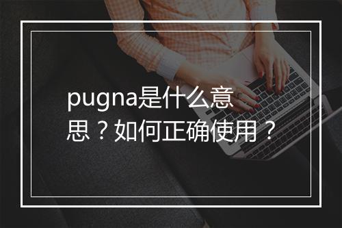 pugna是什么意思？如何正确使用？