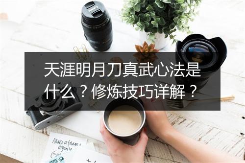 天涯明月刀真武心法是什么？修炼技巧详解？