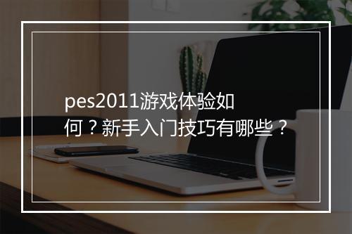 pes2011游戏体验如何？新手入门技巧有哪些？