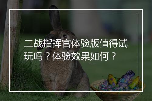 二战指挥官体验版值得试玩吗？体验效果如何？