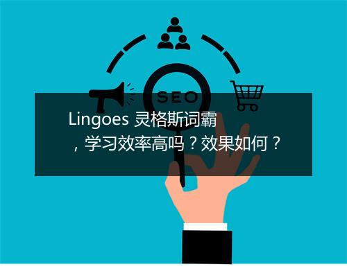 Lingoes 灵格斯词霸，学习效率高吗？效果如何？