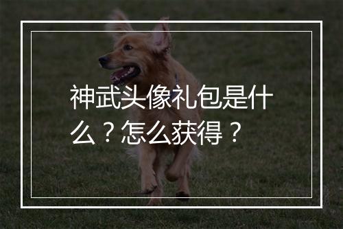 神武头像礼包是什么？怎么获得？