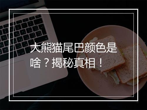 大熊猫尾巴颜色是啥？揭秘真相！
