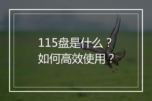 115盘是什么？如何高效使用？