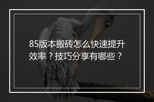 85版本搬砖怎么快速提升效率？技巧分享有哪些？