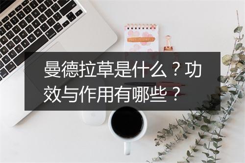 曼德拉草是什么？功效与作用有哪些？