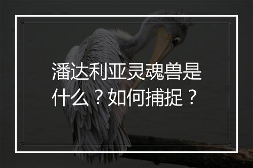 潘达利亚灵魂兽是什么？如何捕捉？