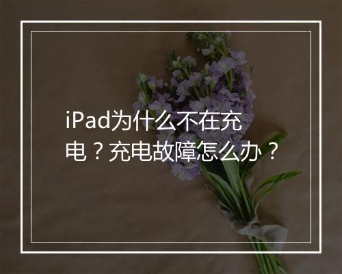 iPad为什么不在充电？充电故障怎么办？