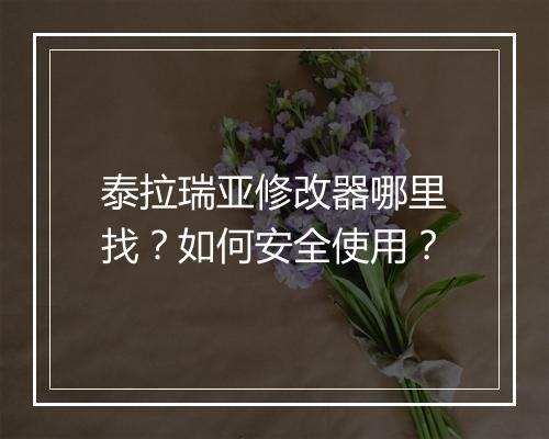 泰拉瑞亚修改器哪里找？如何安全使用？