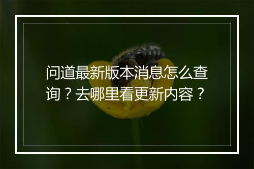 问道最新版本消息怎么查询？去哪里看更新内容？