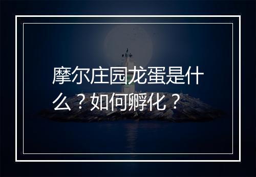 摩尔庄园龙蛋是什么？如何孵化？