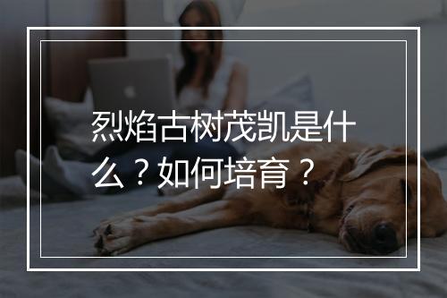 烈焰古树茂凯是什么？如何培育？
