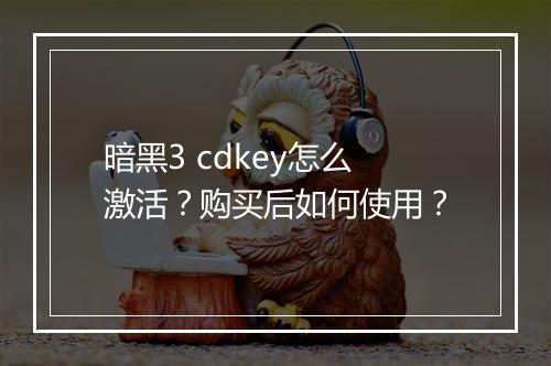 暗黑3 cdkey怎么激活？购买后如何使用？