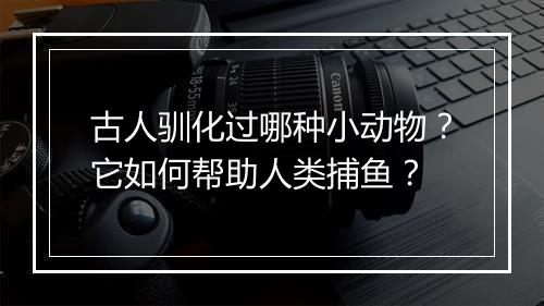 古人驯化过哪种小动物？它如何帮助人类捕鱼？
