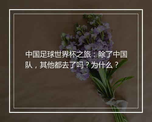 中国足球世界杯之旅：除了中国队，其他都去了吗？为什么？