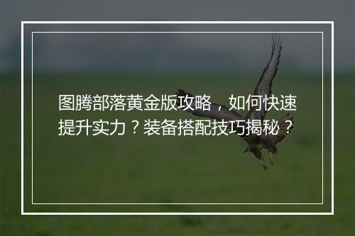 图腾部落黄金版攻略，如何快速提升实力？装备搭配技巧揭秘？