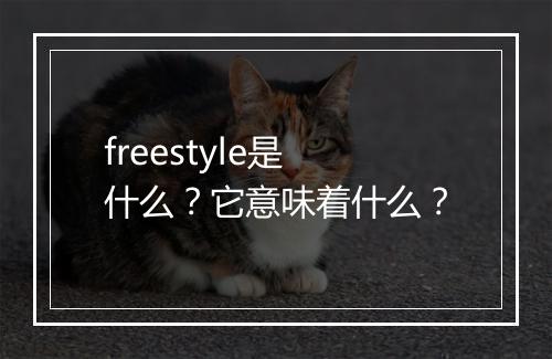 freestyle是什么？它意味着什么？