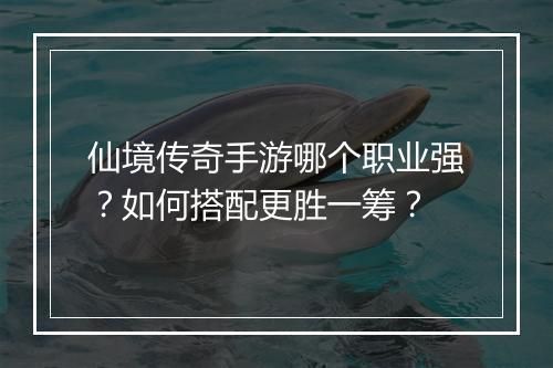 仙境传奇手游哪个职业强？如何搭配更胜一筹？