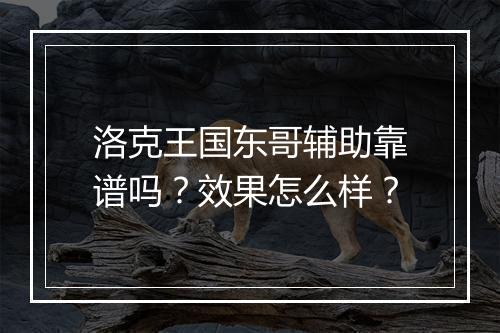 洛克王国东哥辅助靠谱吗？效果怎么样？