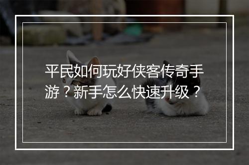 平民如何玩好侠客传奇手游？新手怎么快速升级？