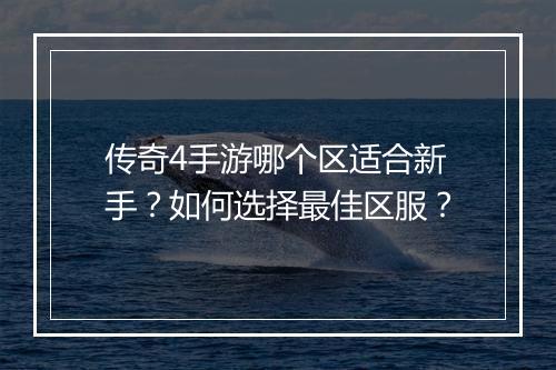传奇4手游哪个区适合新手？如何选择最佳区服？