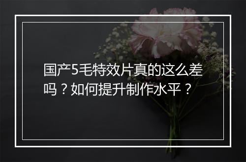 国产5毛特效片真的这么差吗？如何提升制作水平？
