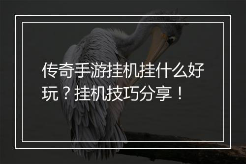 传奇手游挂机挂什么好玩？挂机技巧分享！