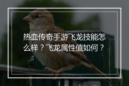 热血传奇手游飞龙技能怎么样？飞龙属性值如何？