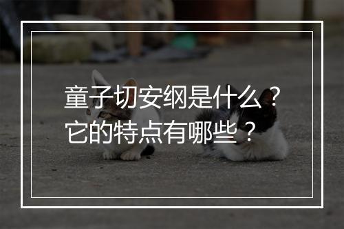 童子切安纲是什么？它的特点有哪些？