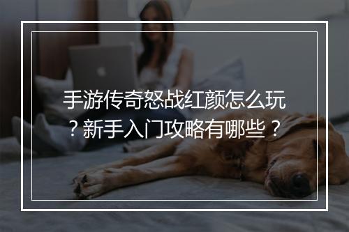 手游传奇怒战红颜怎么玩？新手入门攻略有哪些？