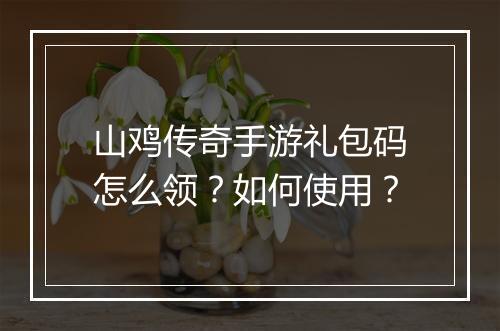 山鸡传奇手游礼包码怎么领？如何使用？