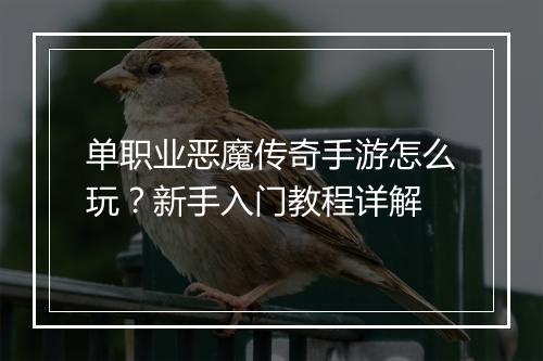 单职业恶魔传奇手游怎么玩？新手入门教程详解