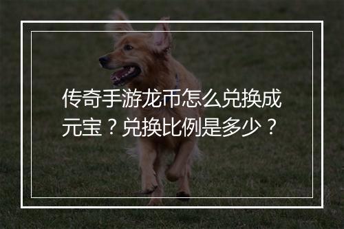 传奇手游龙币怎么兑换成元宝？兑换比例是多少？