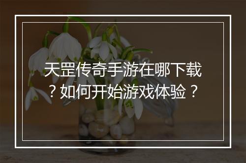 天罡传奇手游在哪下载？如何开始游戏体验？