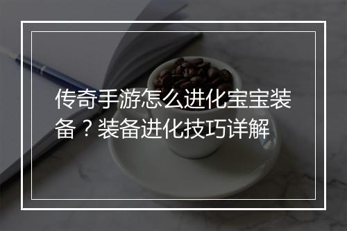 传奇手游怎么进化宝宝装备？装备进化技巧详解