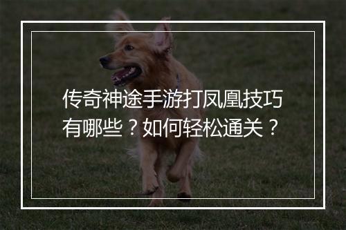 传奇神途手游打凤凰技巧有哪些？如何轻松通关？