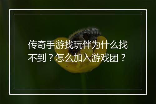 传奇手游找玩伴为什么找不到？怎么加入游戏团？