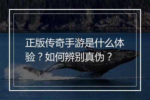 正版传奇手游是什么体验？如何辨别真伪？