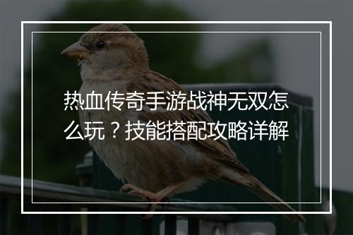 热血传奇手游战神无双怎么玩？技能搭配攻略详解