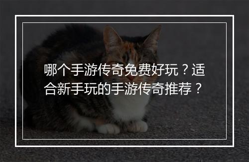 哪个手游传奇免费好玩？适合新手玩的手游传奇推荐？