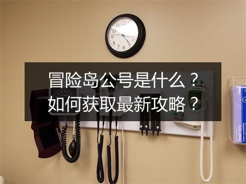 冒险岛公号是什么？如何获取最新攻略？